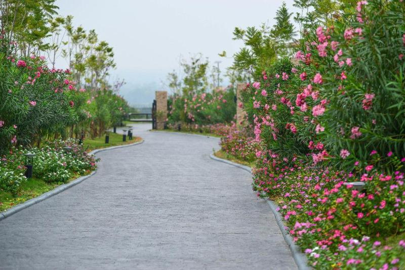 Civilai Hill Khao Yai Pak Chong المظهر الخارجي الصورة